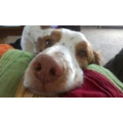Bianca Tocci's photo
