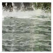 Louise Lewin's photo