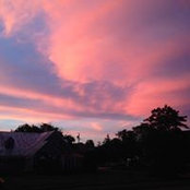 Suzanne Drexler Garrison's photo