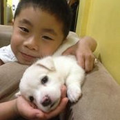 Albert Lua's photo