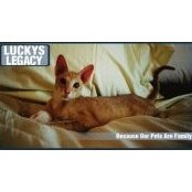 Marzena Golonka's photo