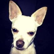Jason McAllister's photo