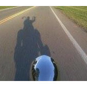 Lance Perkins's photo