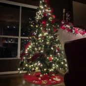 Jill Berg's photo