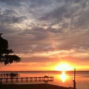 Sue Chila's photo