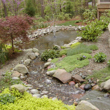 Lush Front Yard