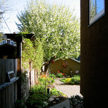 side Yard ideas