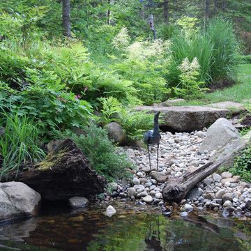 Jardin aquatique