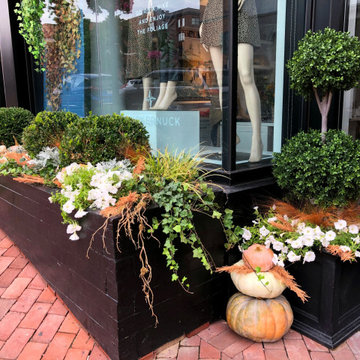 Tuckernuck Fall Storefront