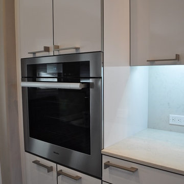 Colfax Contemporary Kitchen . Nar Fine Carpentry . Sacramento . El Dorado Hills