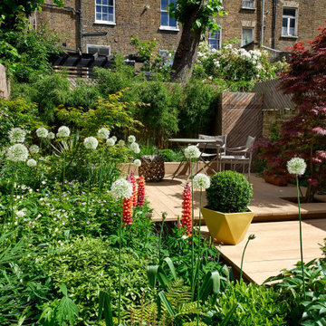 Contemporary garden with decking