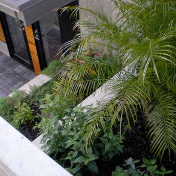 Margarido House, Platinum LEED, Oakland Hills