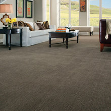 carpet