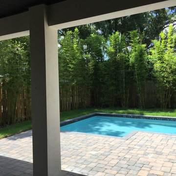 Back Porch Pool Area