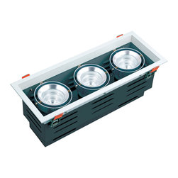 LED down light - Ceiling Lighting