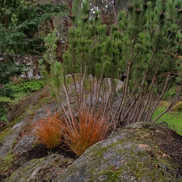 Saanich