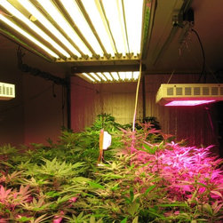 LED Aquarium Light - Products