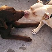 Mariana Hammann's photo