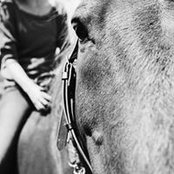 Alexandra Lallier's photo