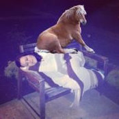 Lauren Hinkel Dowd's photo