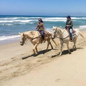 Sarina Castillo's photo