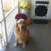 Jane Fiske's photo