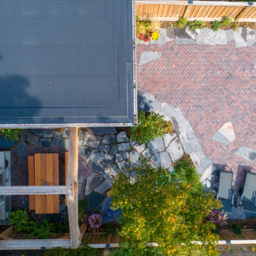 Sunnyside Backyard