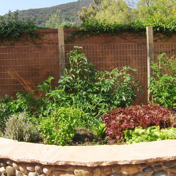 Mediterranean Garden