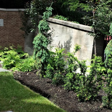 Upper Westmount Low Profile Landscape