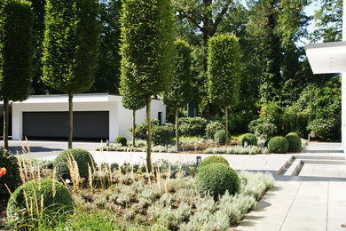 Moderner Garten in Berlin