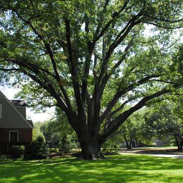 Berkeley Fort Worth, Colonial