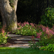Landscape Ideas