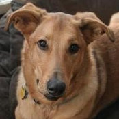Allison Brudno's photo