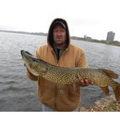 Jon Erickson's photo