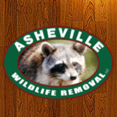 Asheville Wildlife Removal LLC