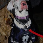 Holly Bazemore's photo