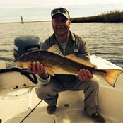 Peter Matthews's photo