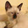 Kitty Childers