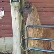 Jackie Marema's photo