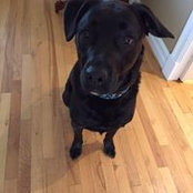 Shelley Rowat's photo