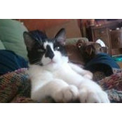 Robin Woodside's photo