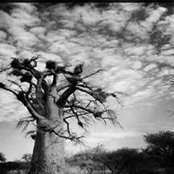 David Bearden's photo