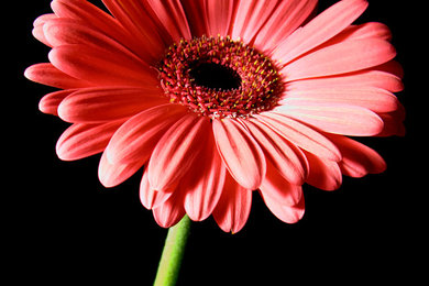 Fine Art photography for Interior Space