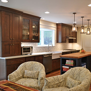 Modern Craftsman Kitchen Remodel