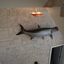 Tarpon