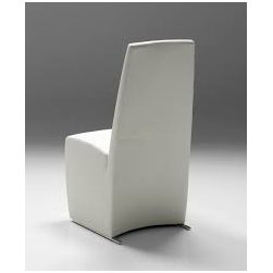 Dining Chairs - Dining Chairs
