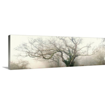 "panoramic octopus ghost oak" Wrapped Canvas Art Print, 36"x12"x1.5"