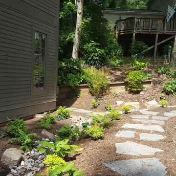 Hofelt Front Drainage and Rain Gardens