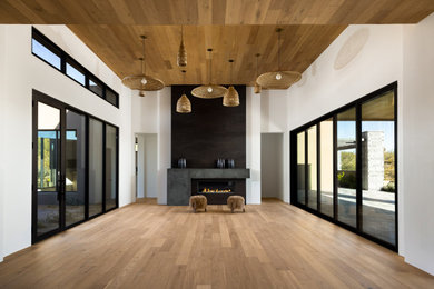 Trendy living room photo in Phoenix