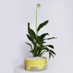 Concrete decor product - Products